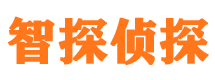 居巢市私家侦探